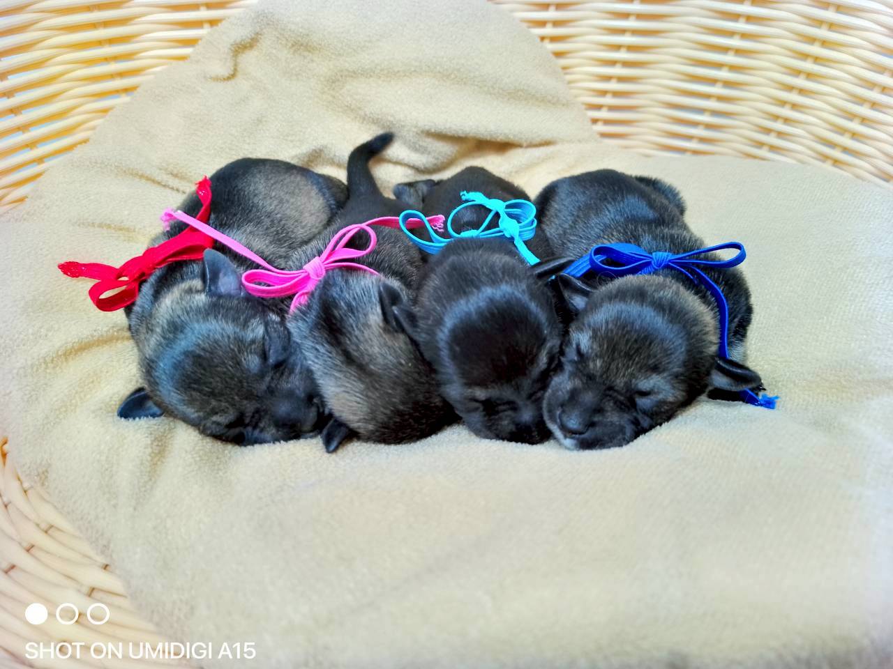 赤ちゃん写真1-3
