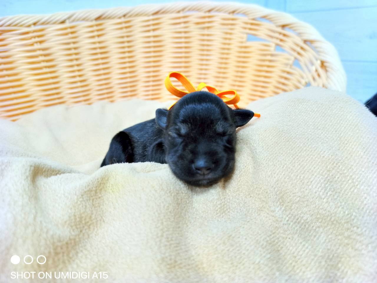 赤ちゃん写真1-1