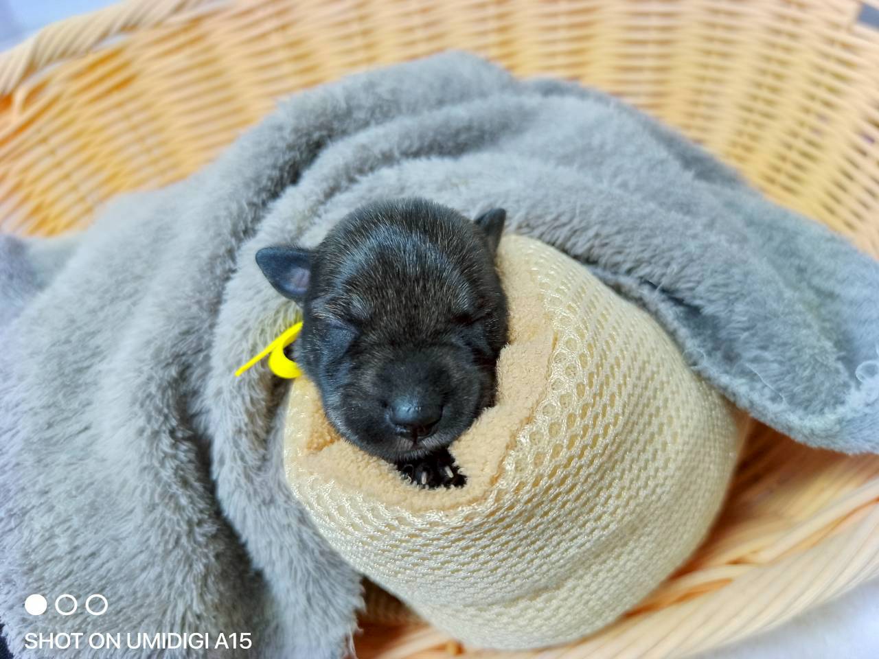 赤ちゃん写真1-1