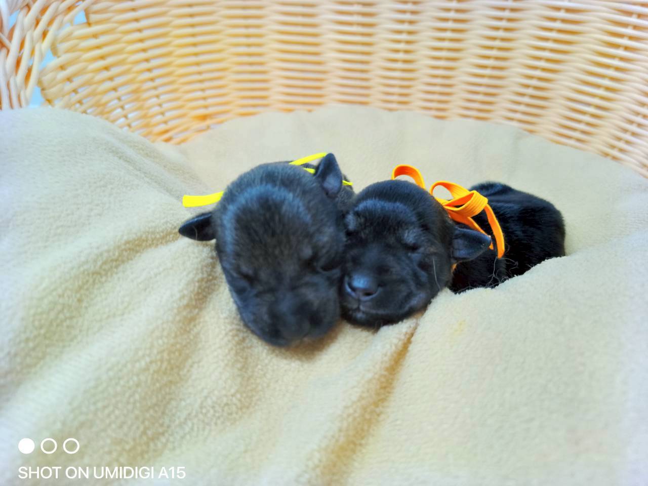 赤ちゃん写真1-3