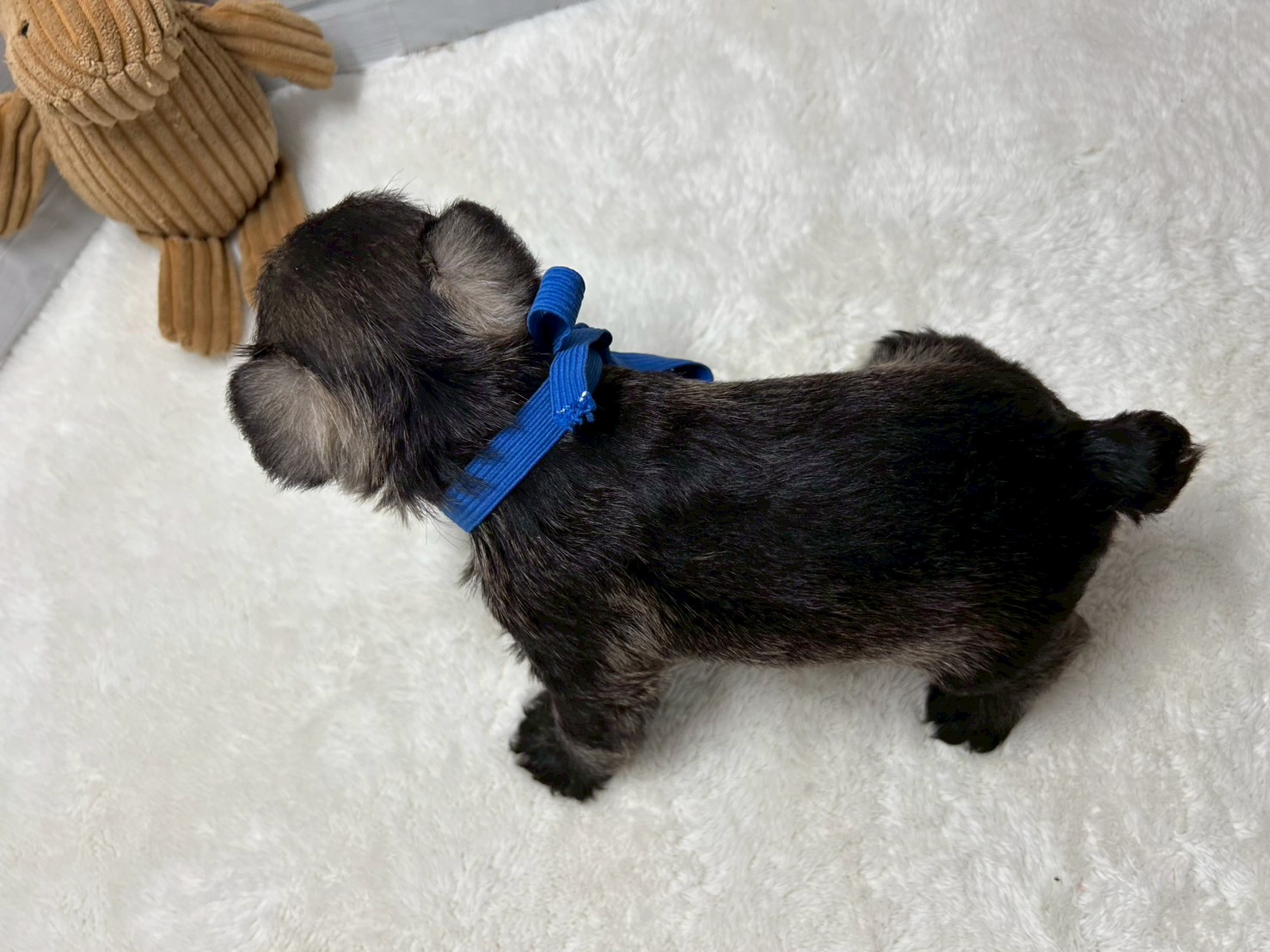 赤ちゃん写真2-3