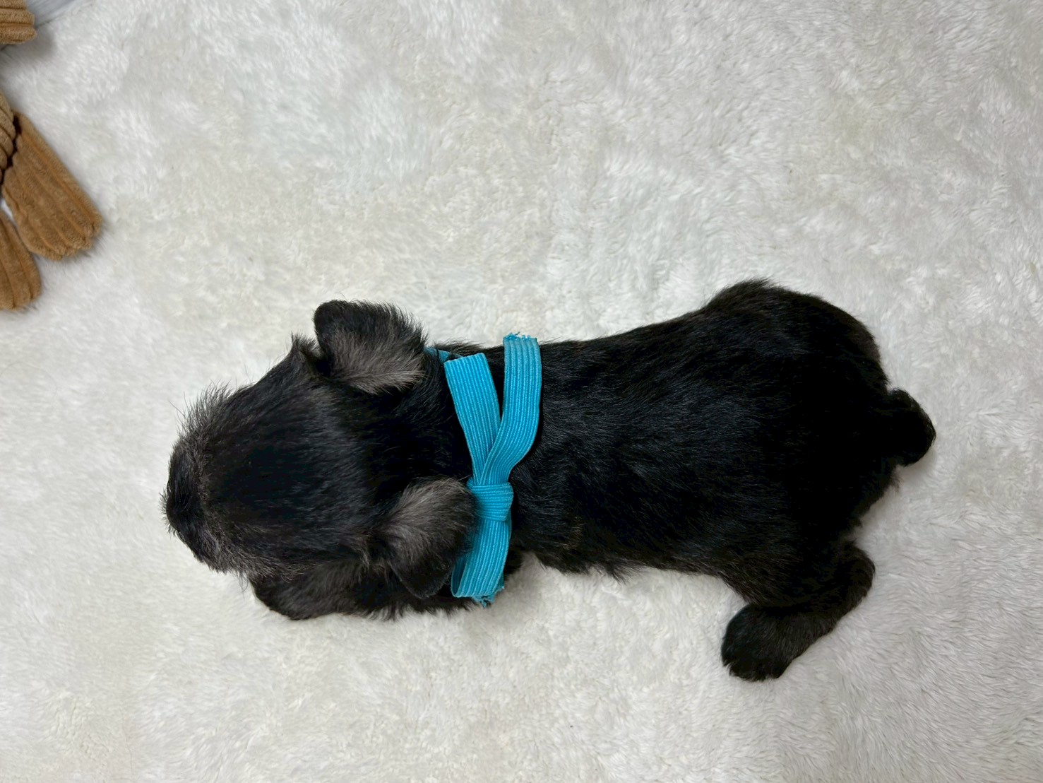 赤ちゃん写真2-3