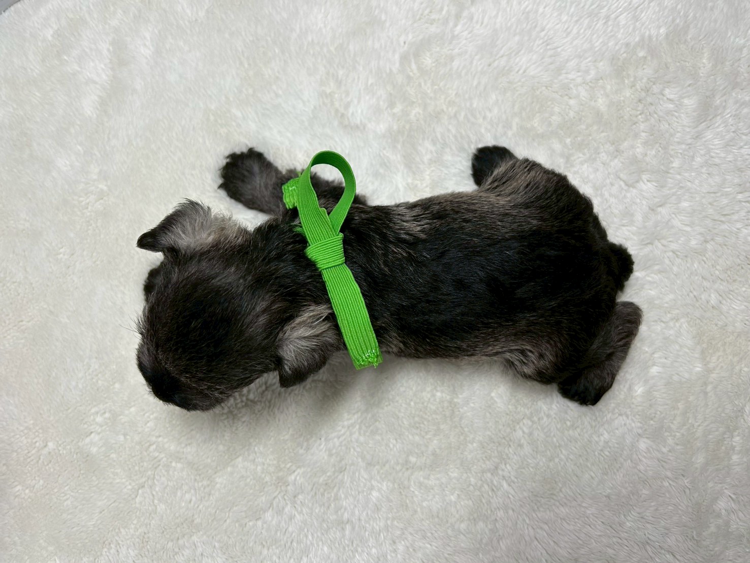 赤ちゃん写真2-3