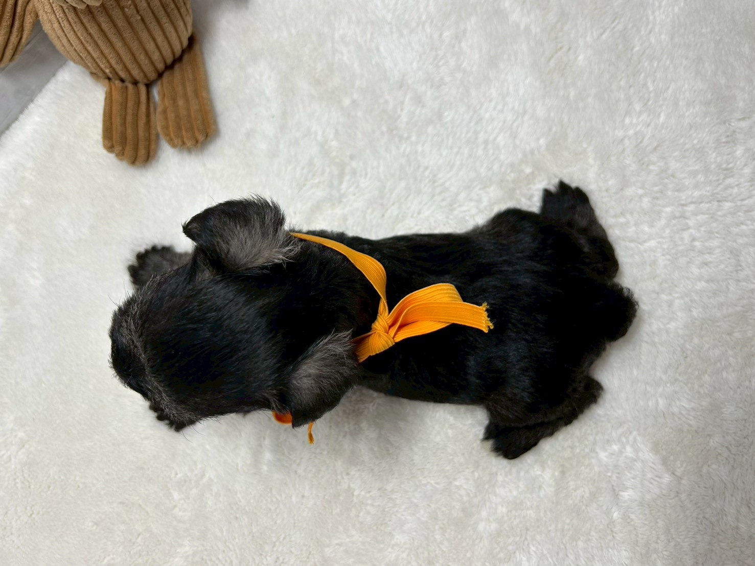 赤ちゃん写真2-3