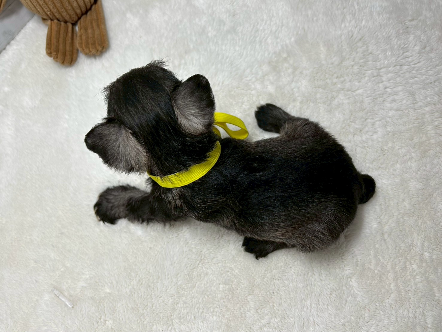 赤ちゃん写真2-3