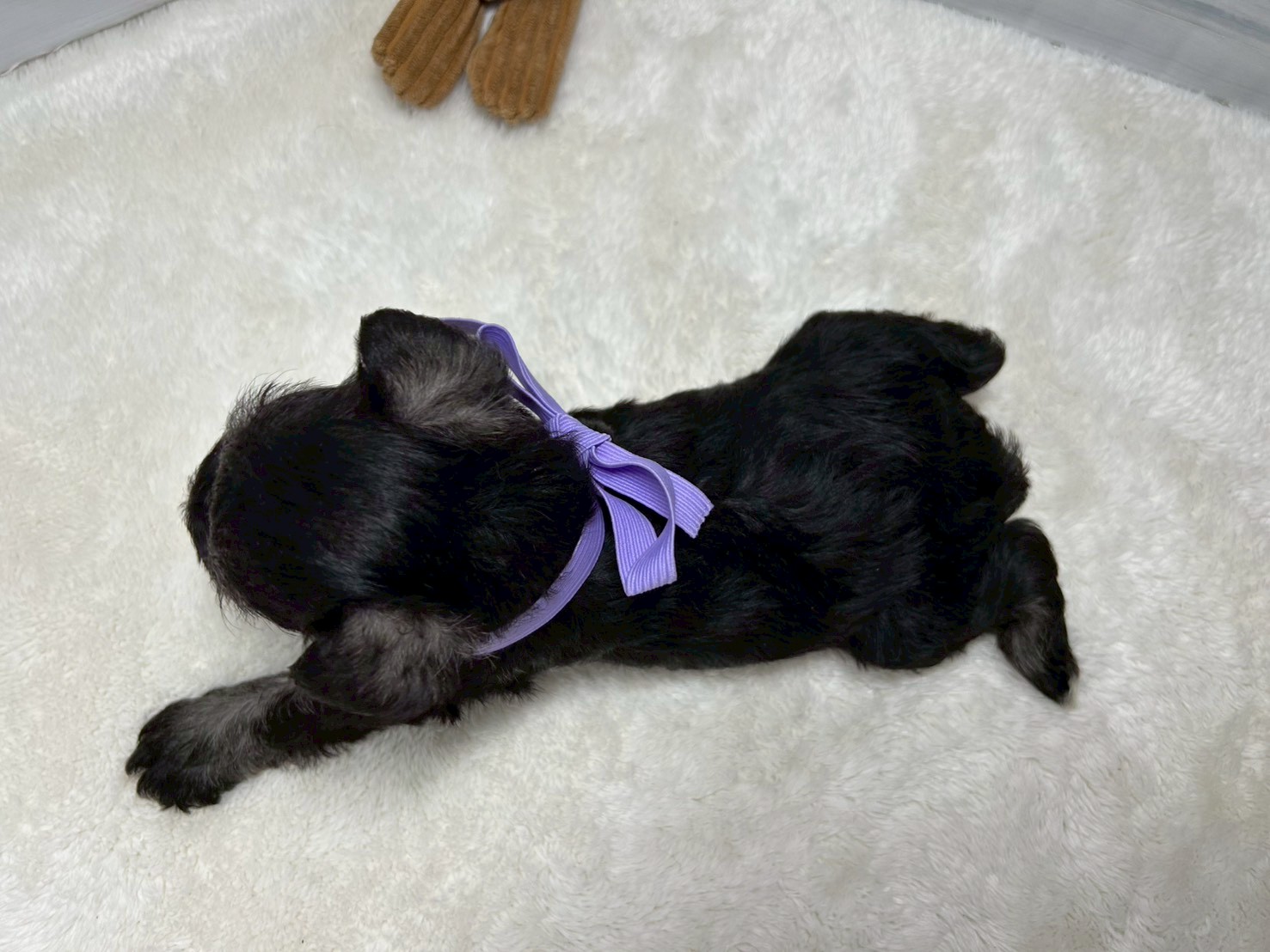 赤ちゃん写真2-3