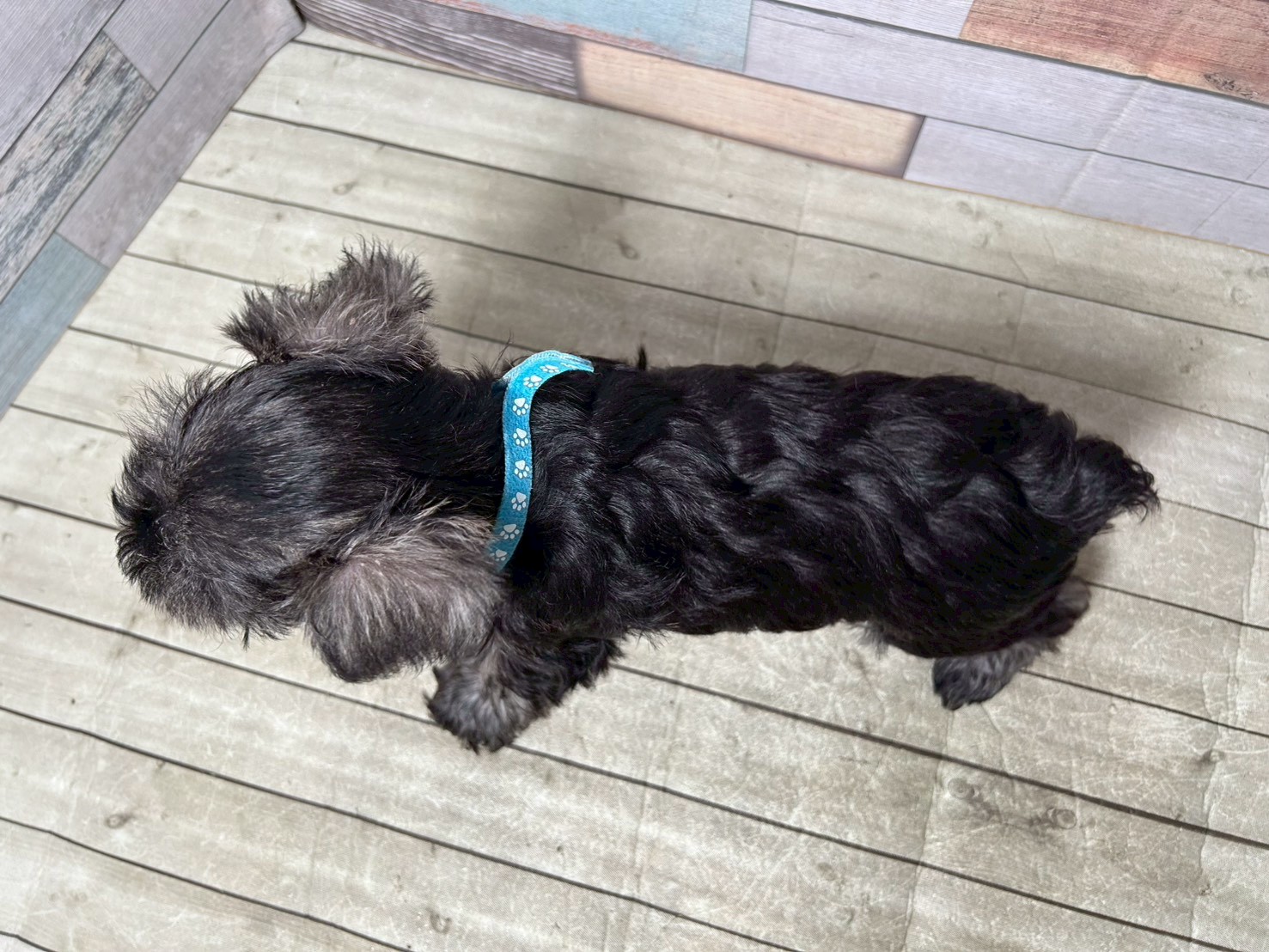 赤ちゃん写真3-3
