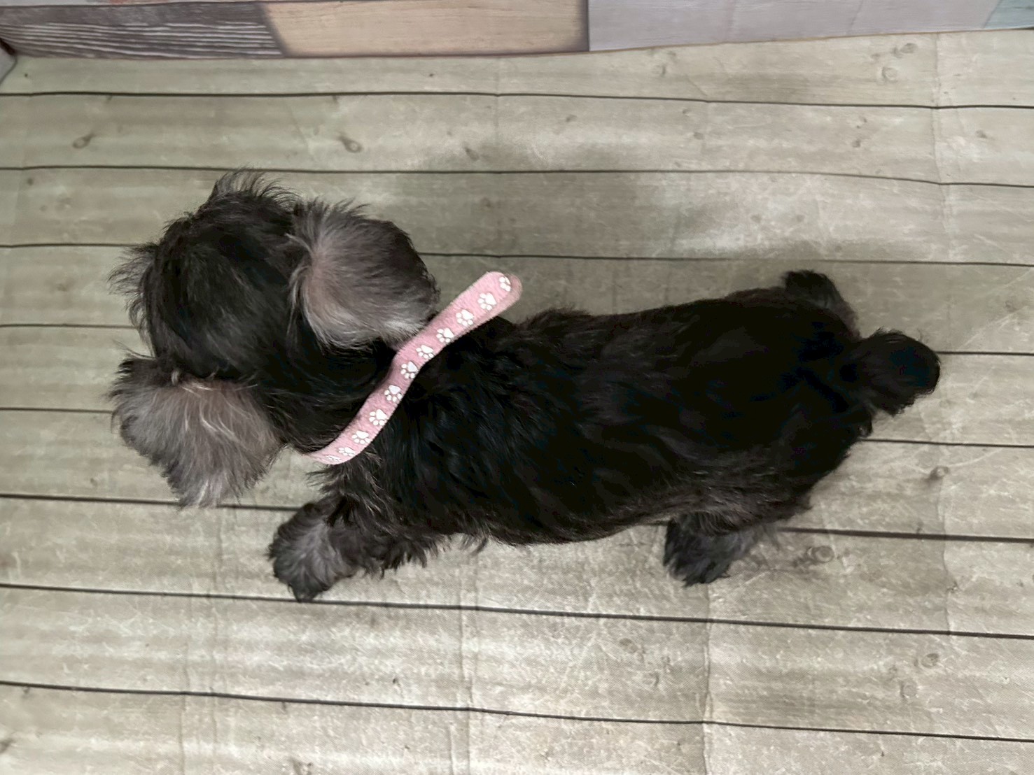 赤ちゃん写真3-3
