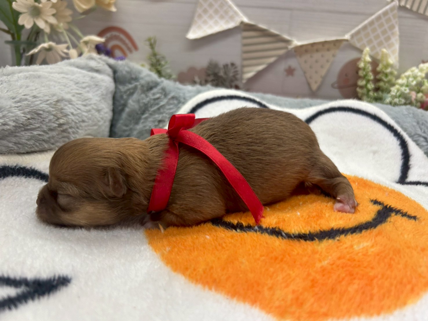 赤ちゃん写真1-2