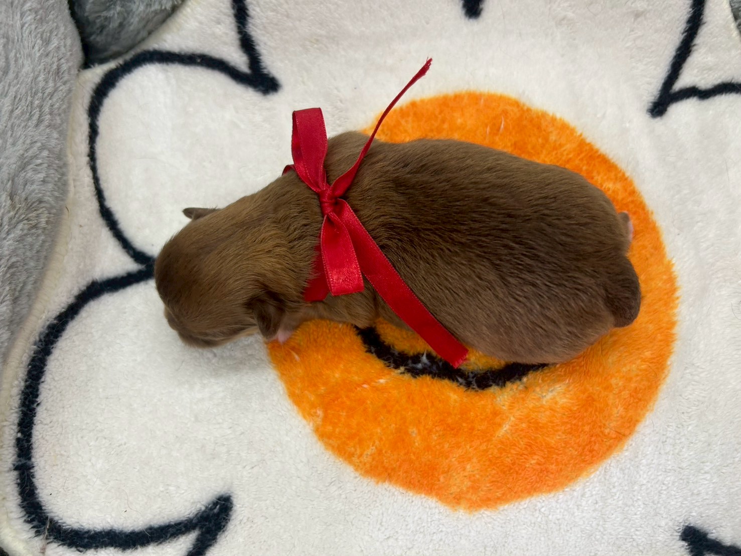 赤ちゃん写真1-3