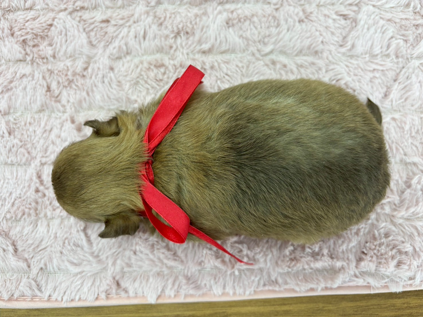 赤ちゃん写真2-3