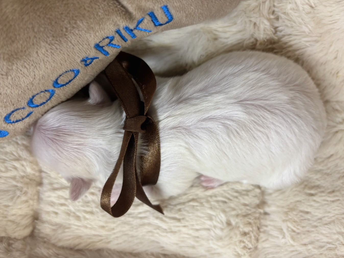 赤ちゃん写真1-3