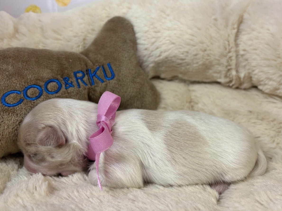 赤ちゃん写真1-2