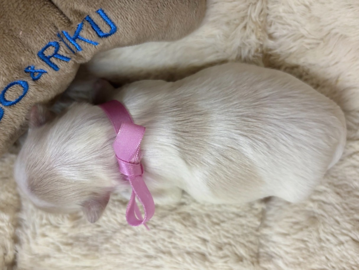 赤ちゃん写真1-3
