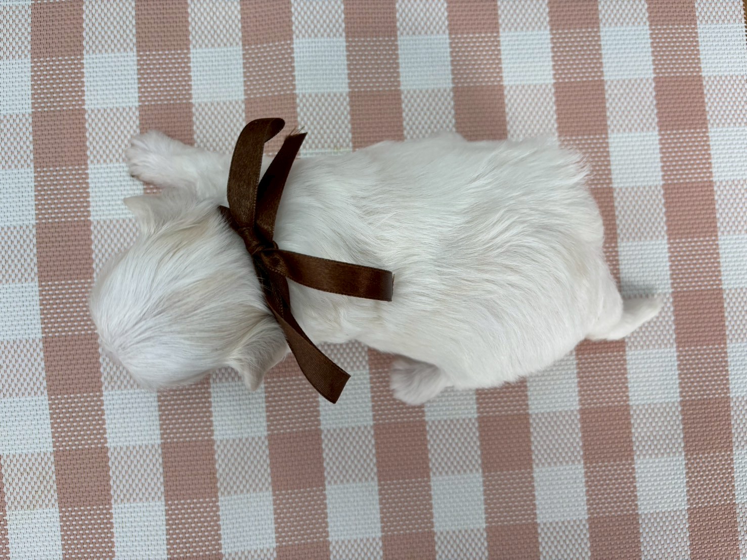 赤ちゃん写真2-3