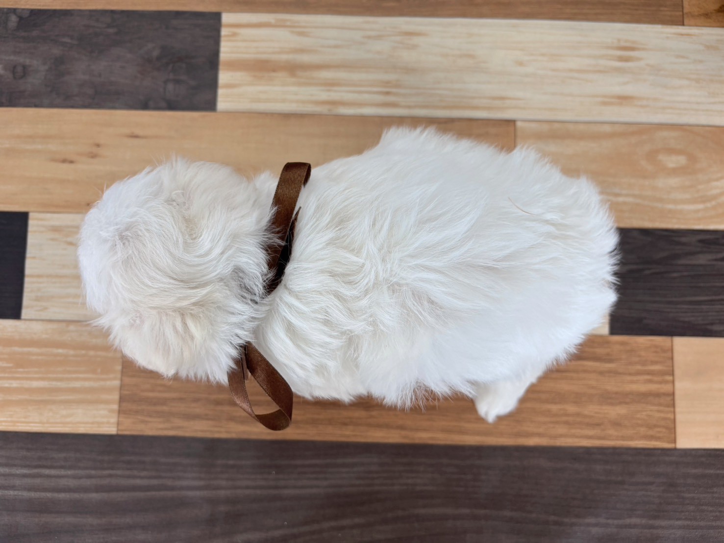 赤ちゃん写真3-3