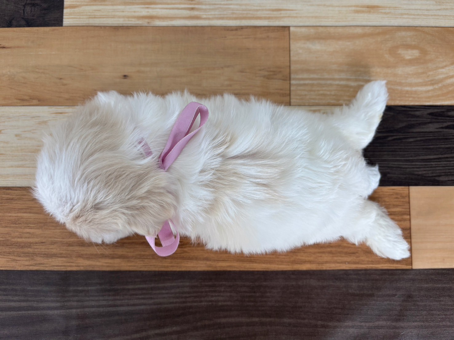 赤ちゃん写真3-3