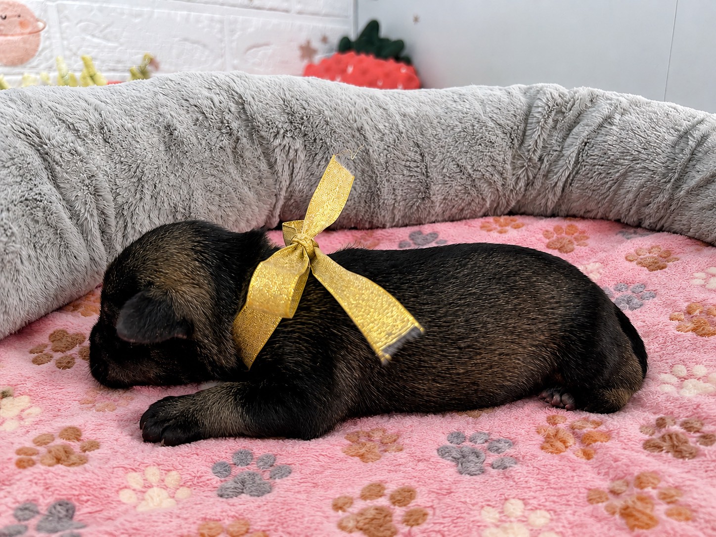 赤ちゃん写真1-2