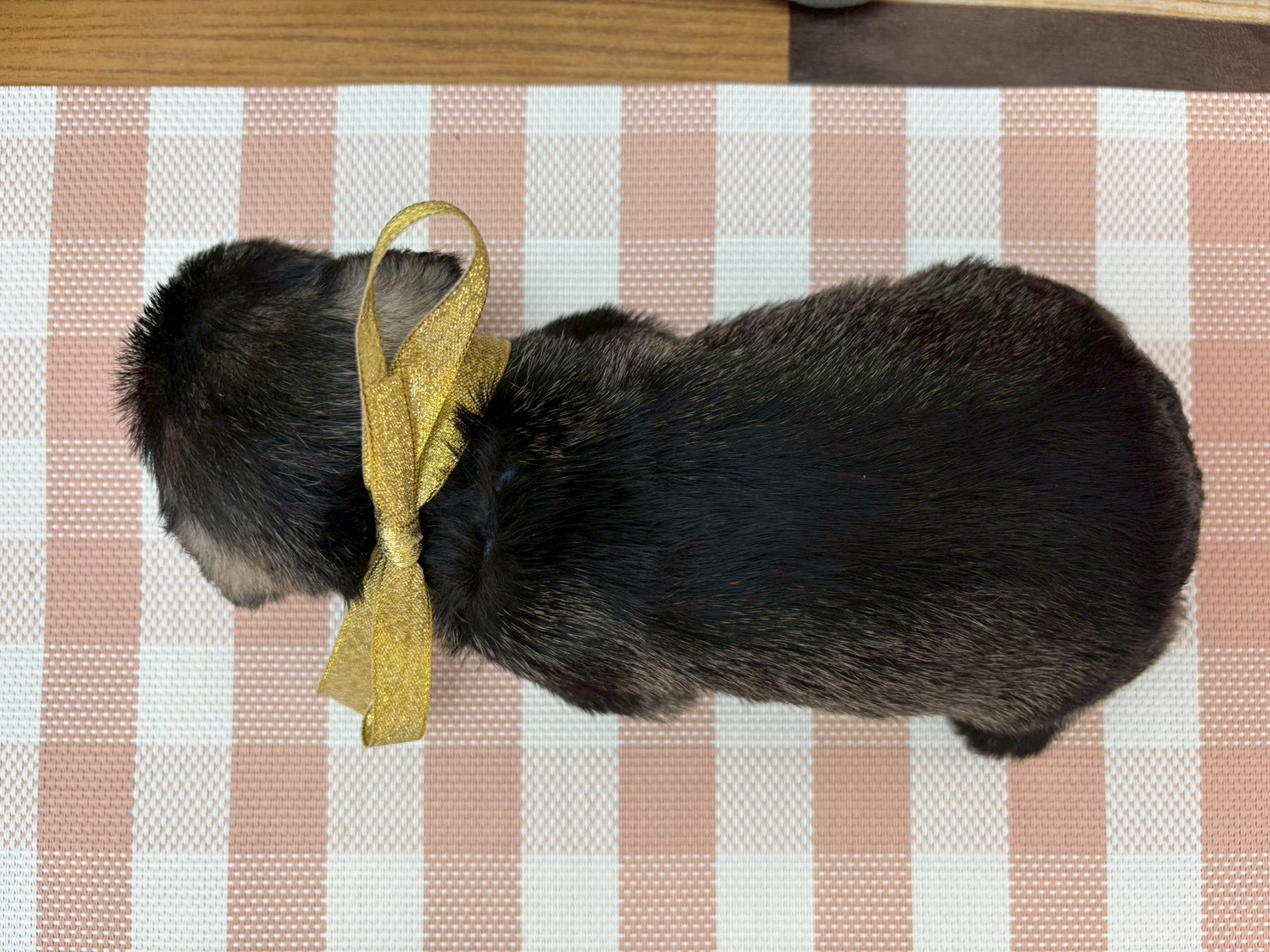 赤ちゃん写真2-3