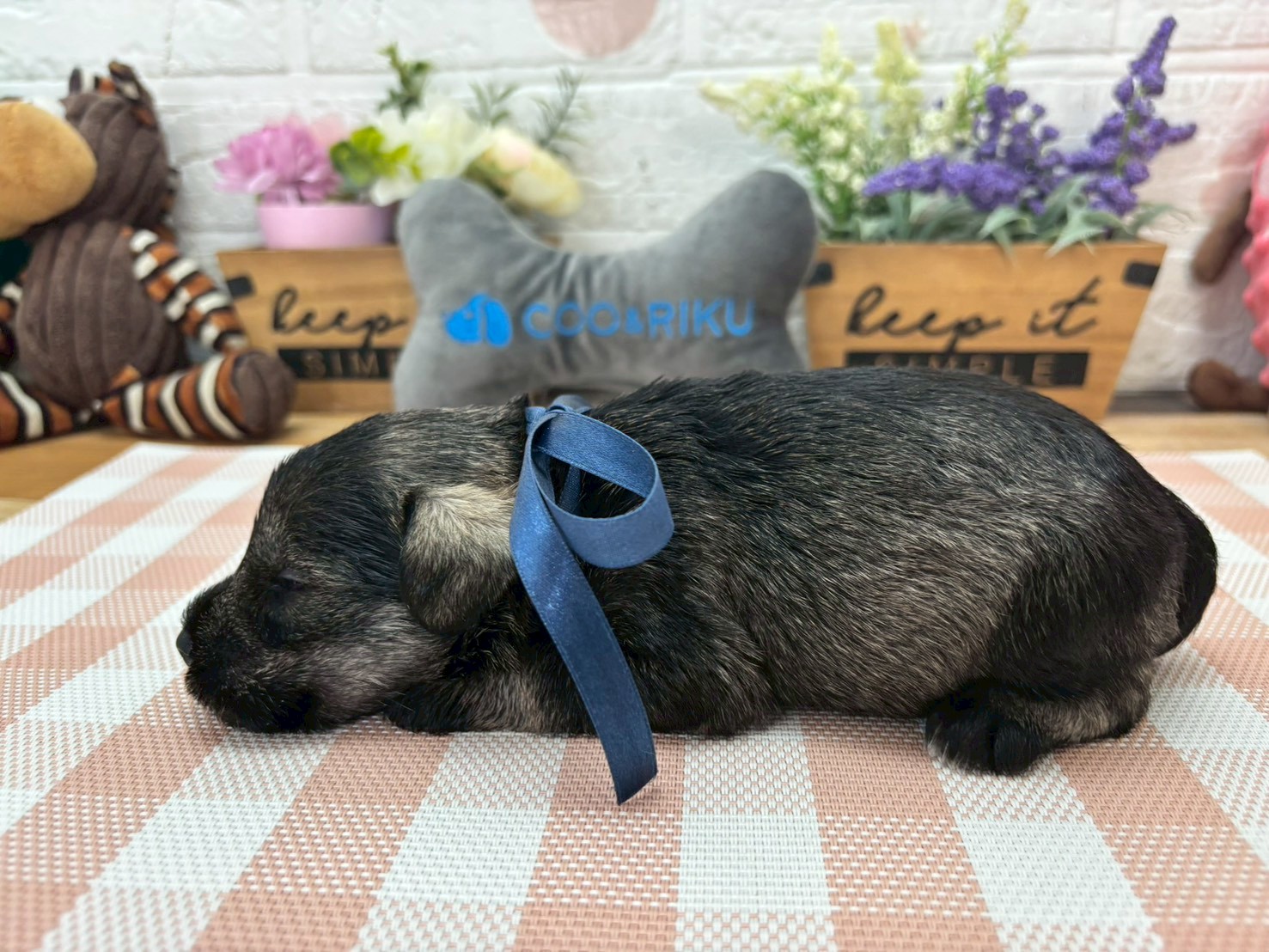 赤ちゃん写真2-2