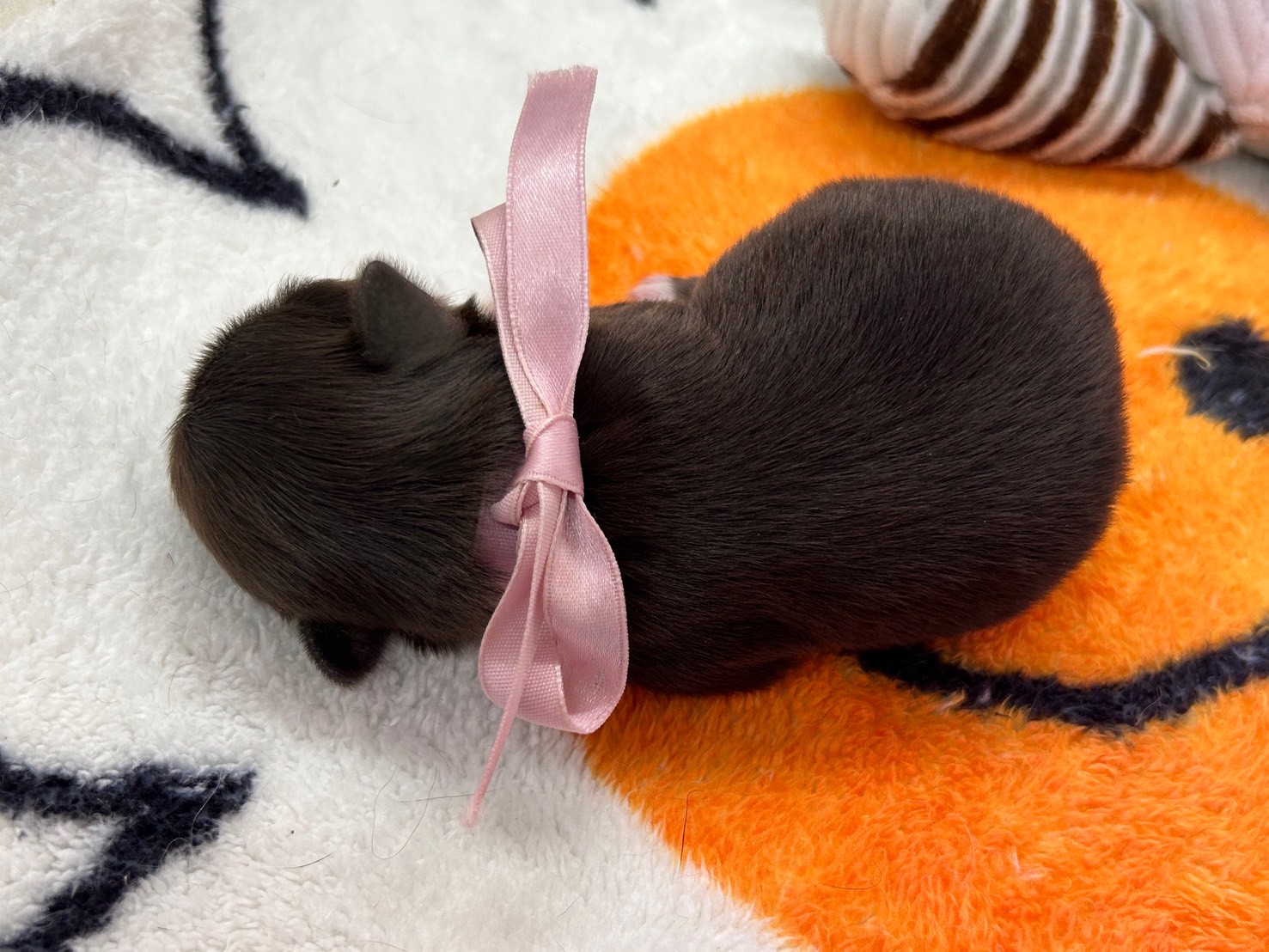 赤ちゃん写真1-3