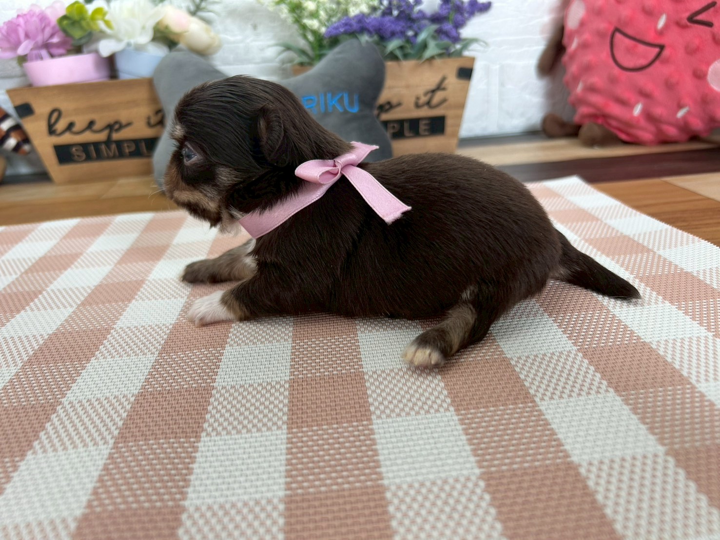 赤ちゃん写真2-2