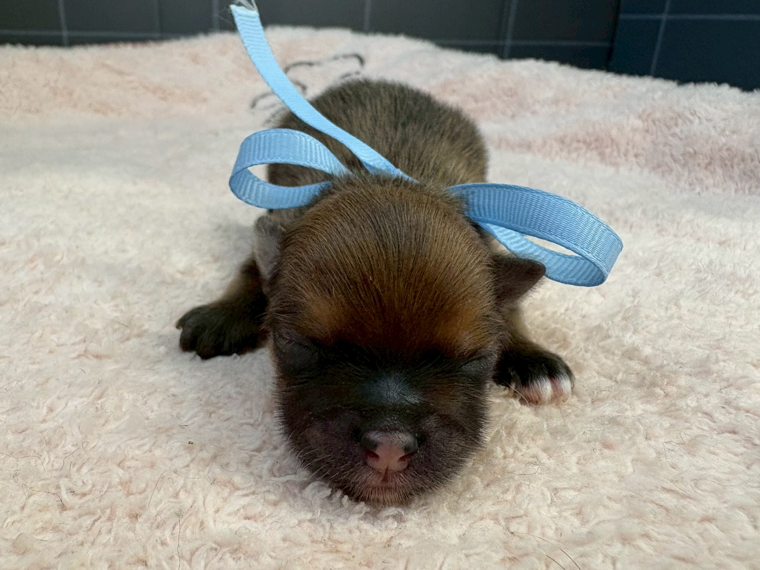赤ちゃん写真1-1