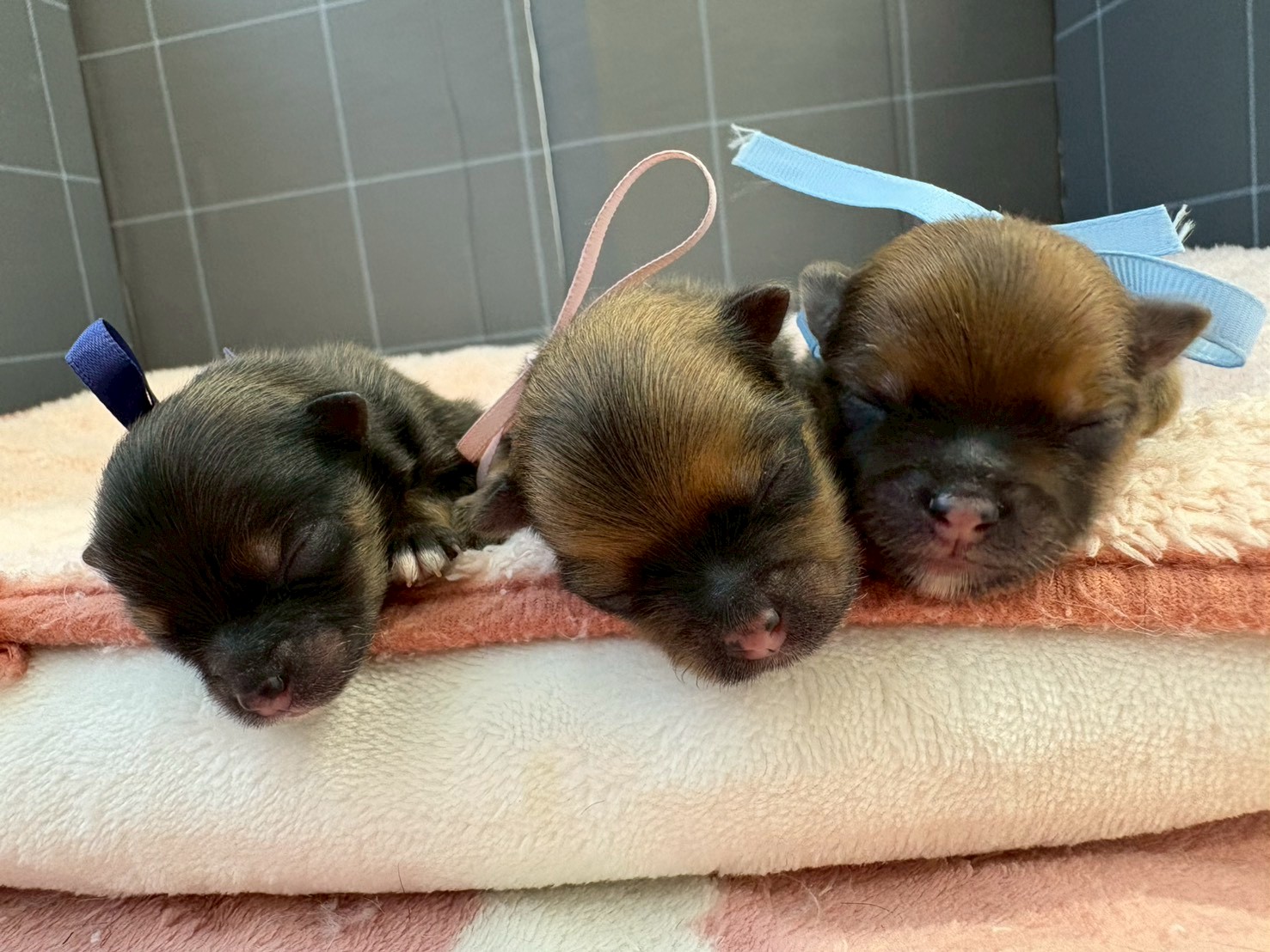 赤ちゃん写真1-3