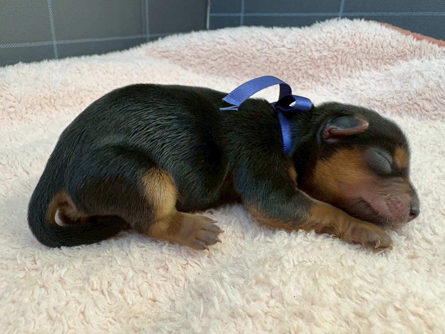 赤ちゃん写真1-2