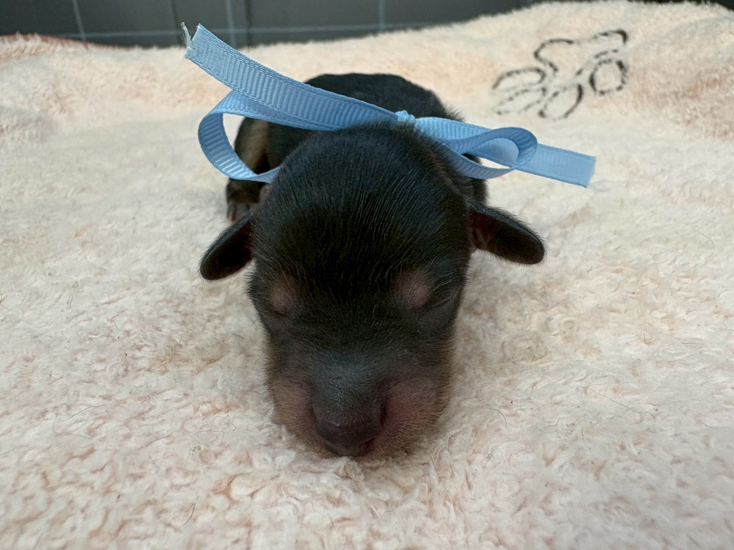 赤ちゃん写真1-1