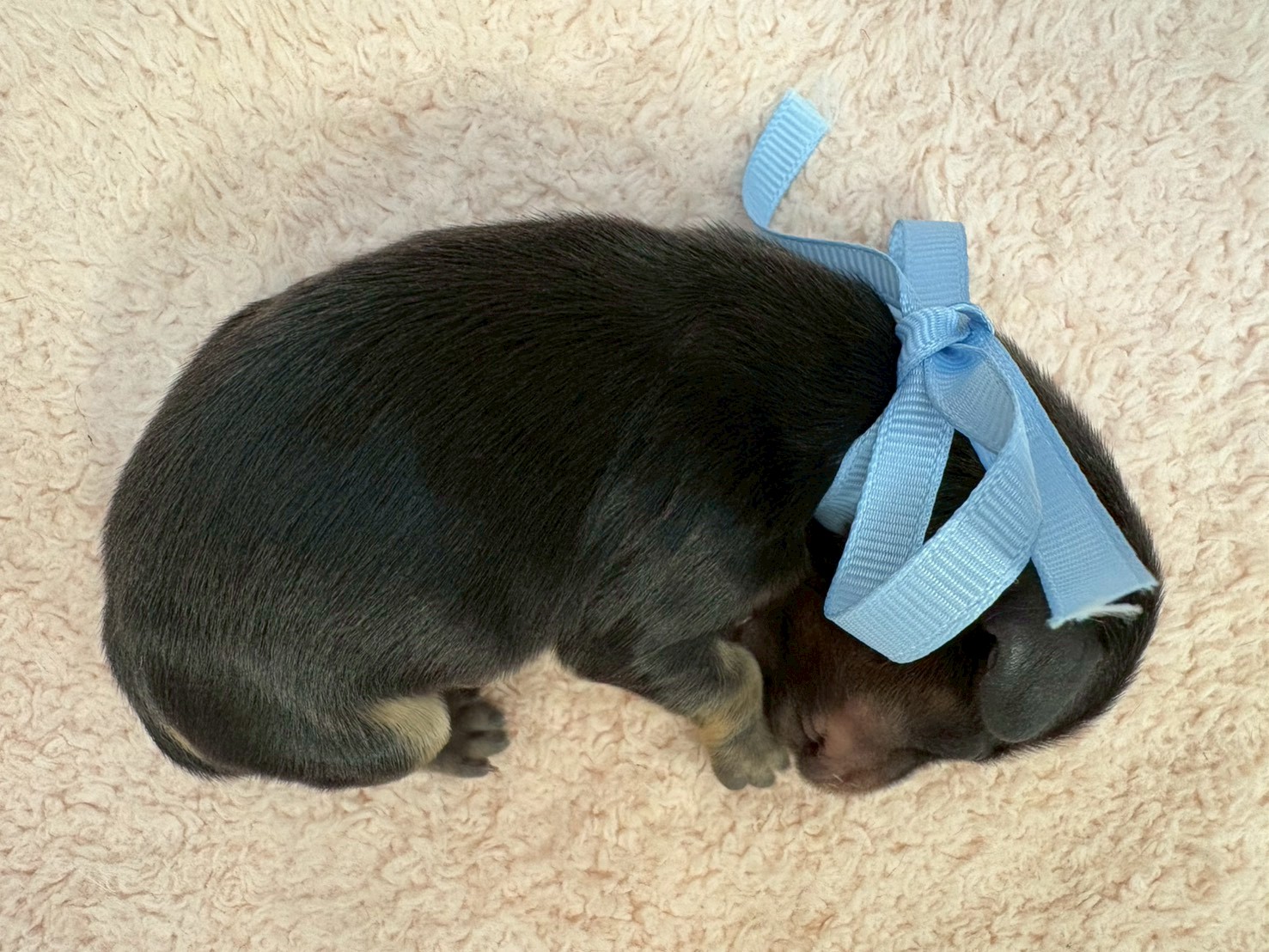赤ちゃん写真1-3