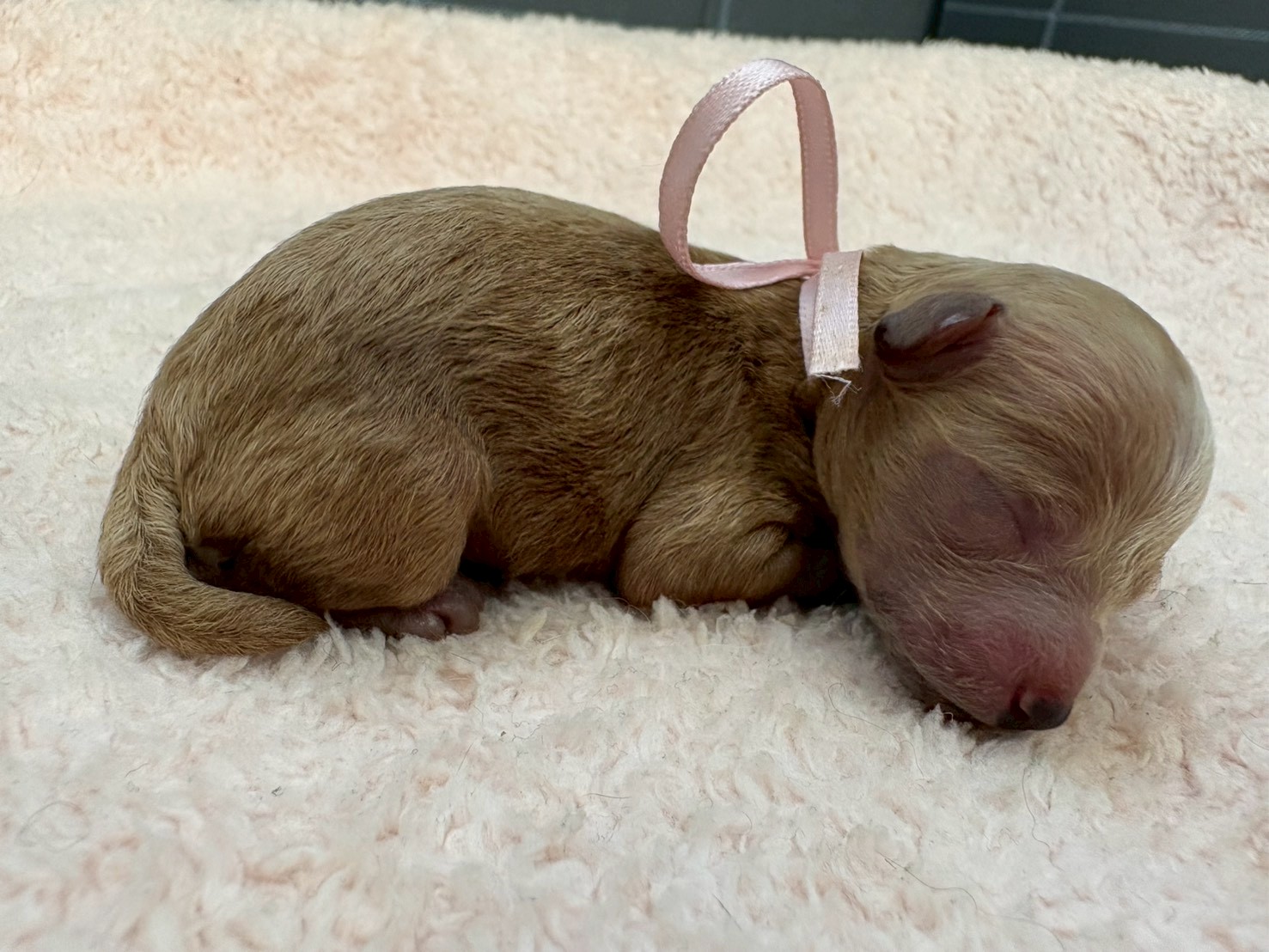 赤ちゃん写真1-2