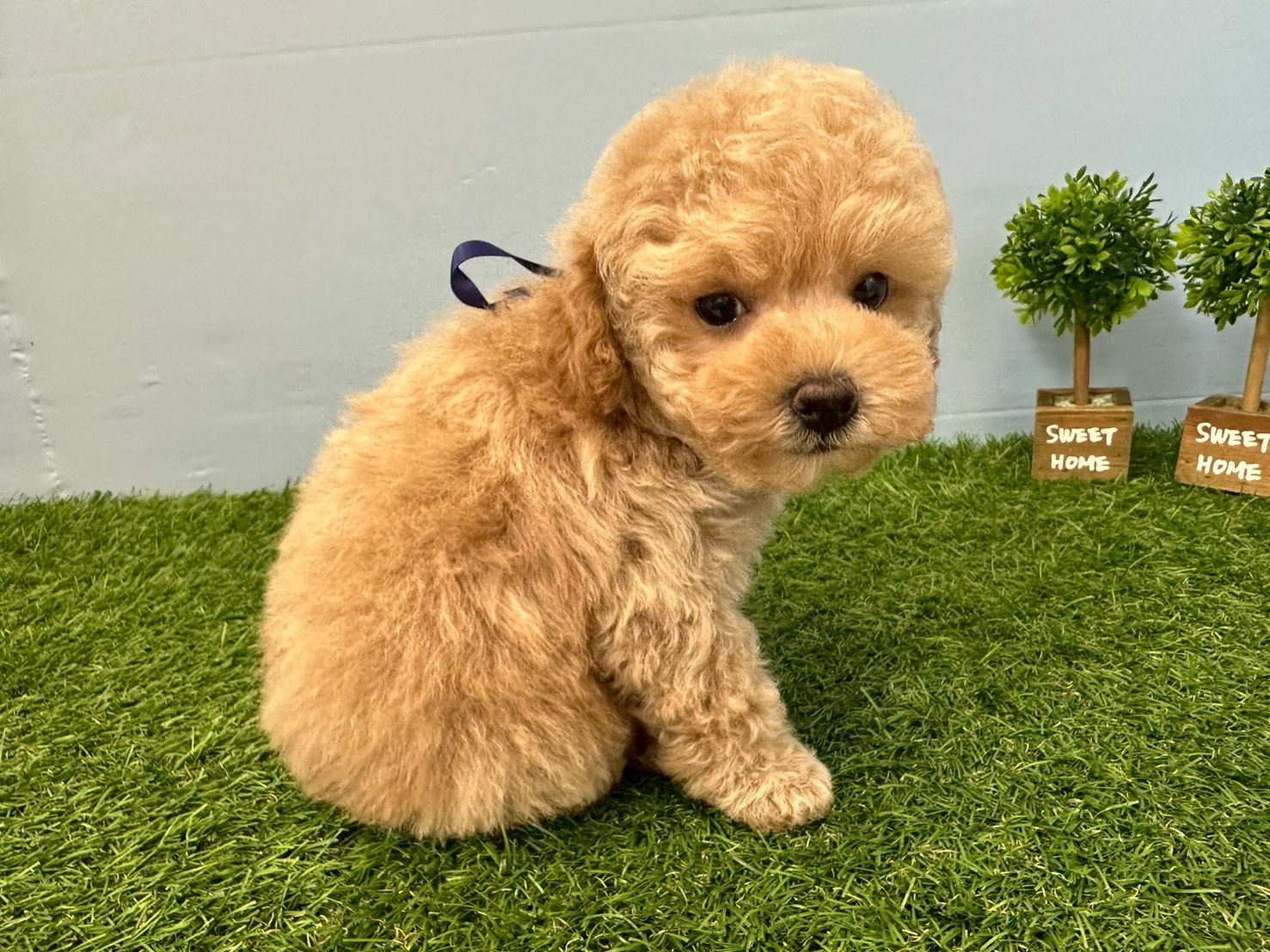 赤ちゃん写真3-2