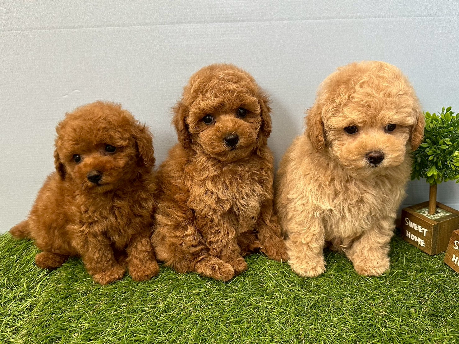 赤ちゃん写真3-3