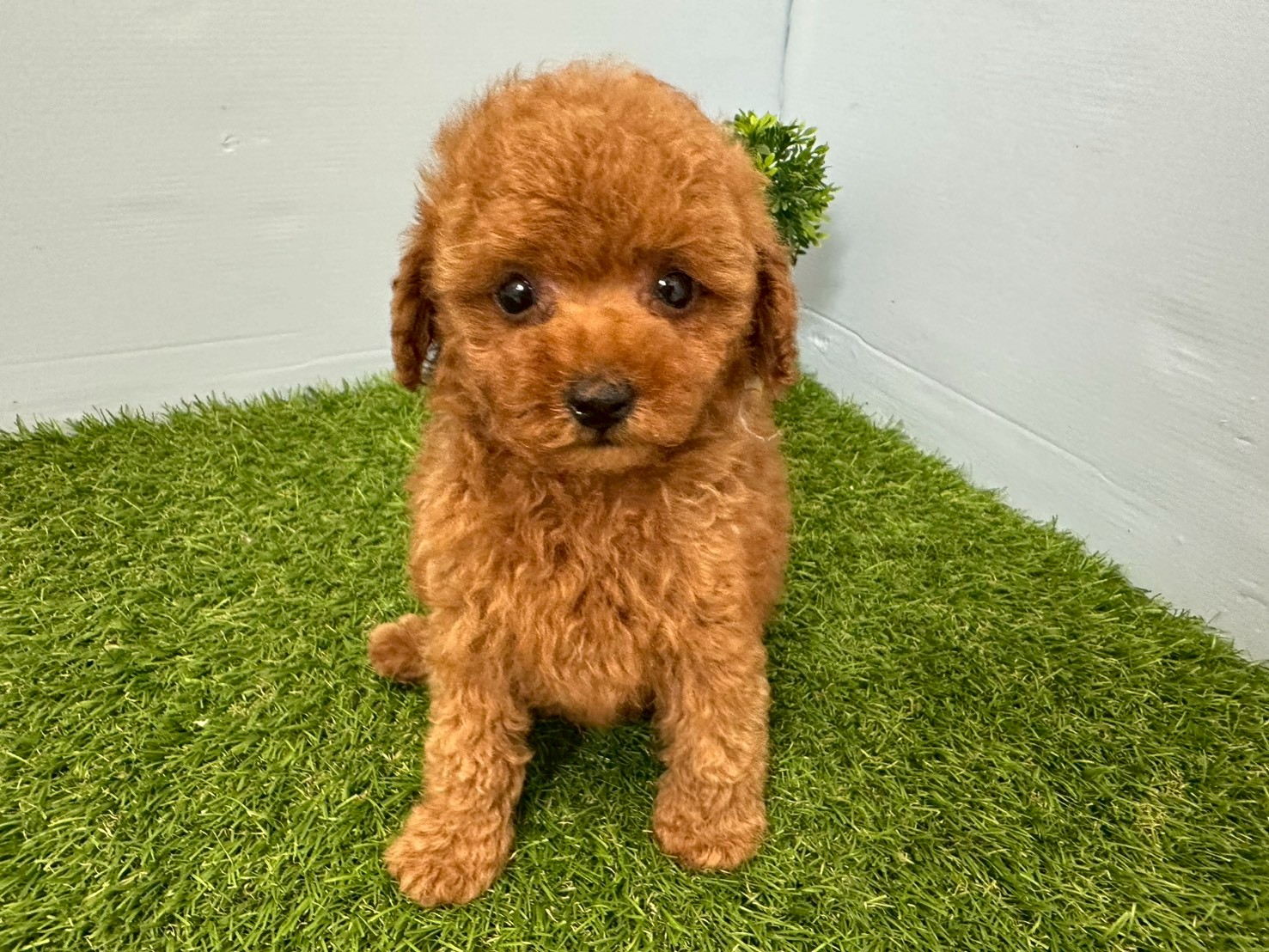 赤ちゃん写真3-1