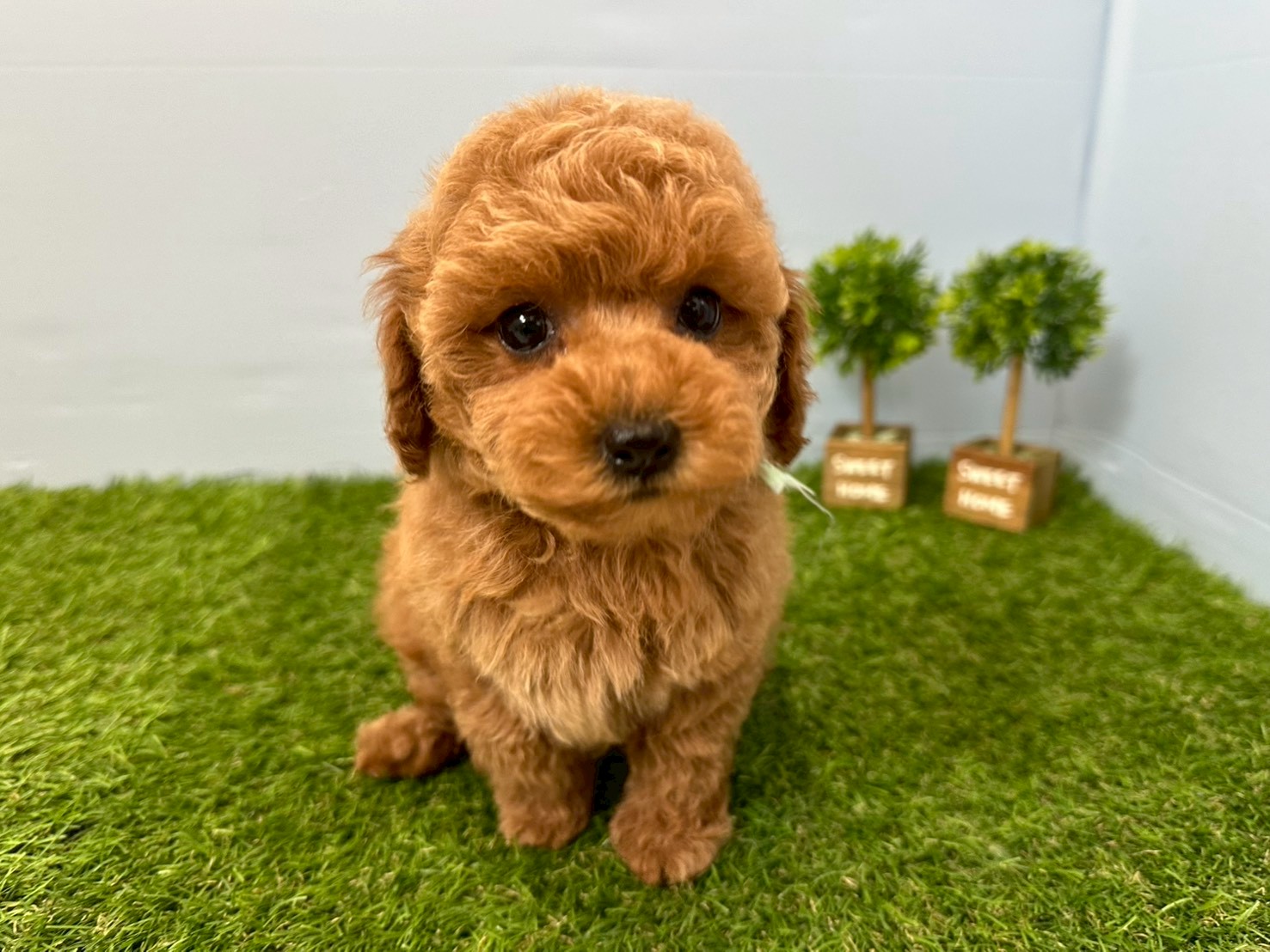 赤ちゃん写真3-1