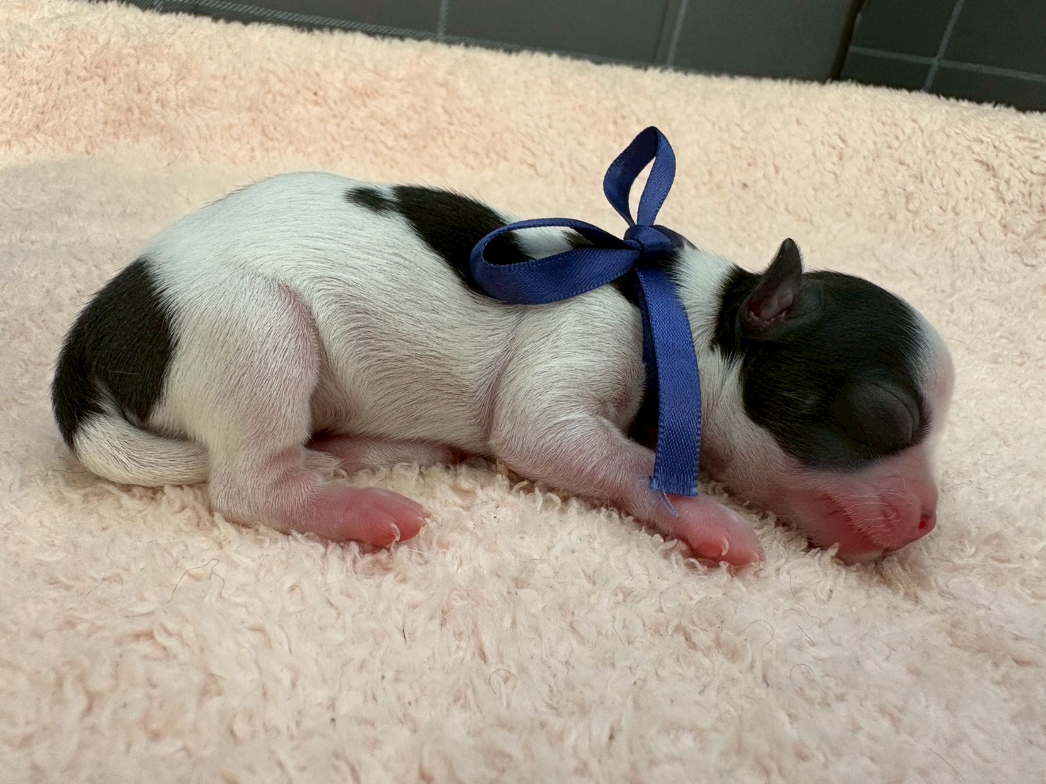 赤ちゃん写真1-2
