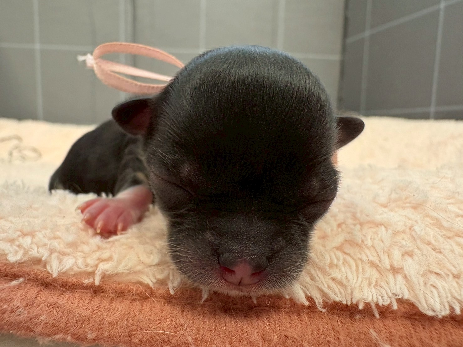 赤ちゃん写真1-1