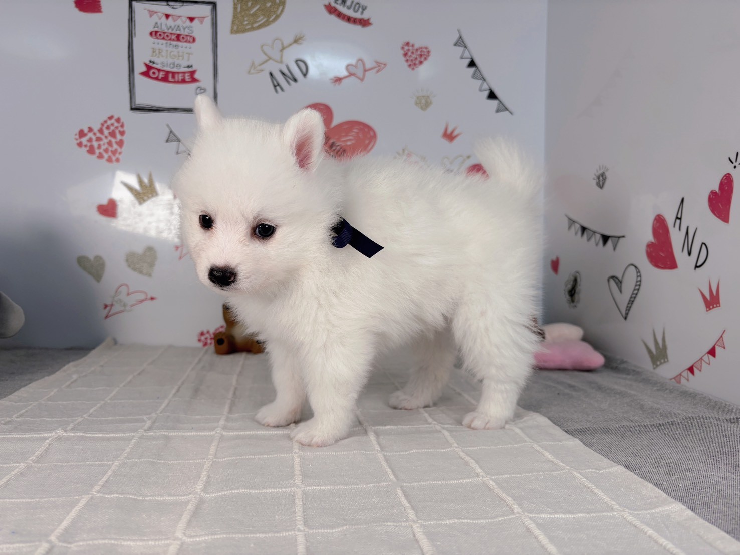 赤ちゃん写真2-2