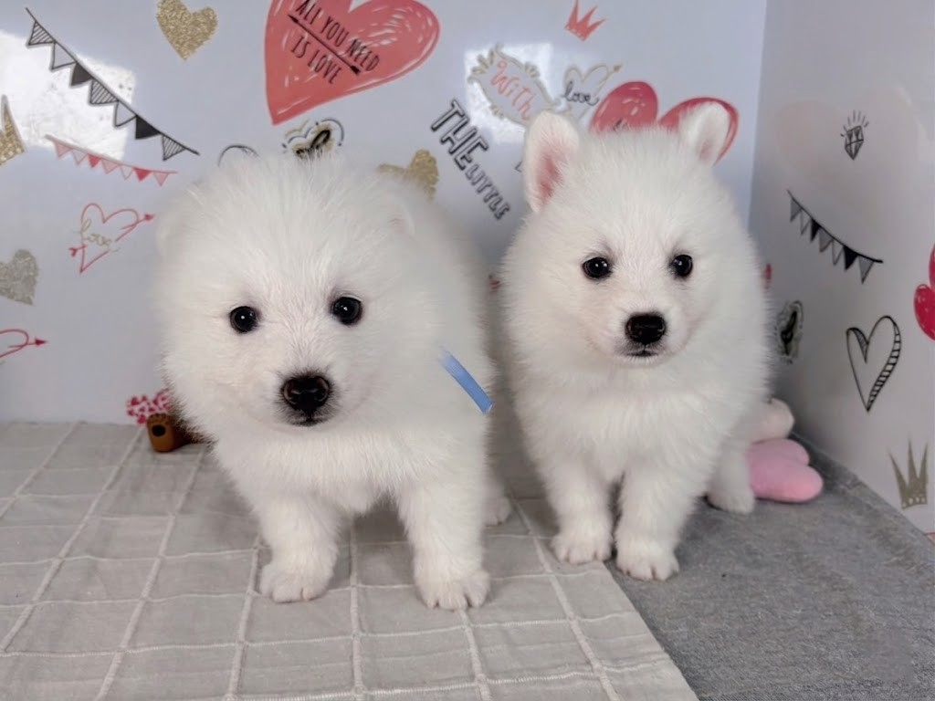 赤ちゃん写真2-3