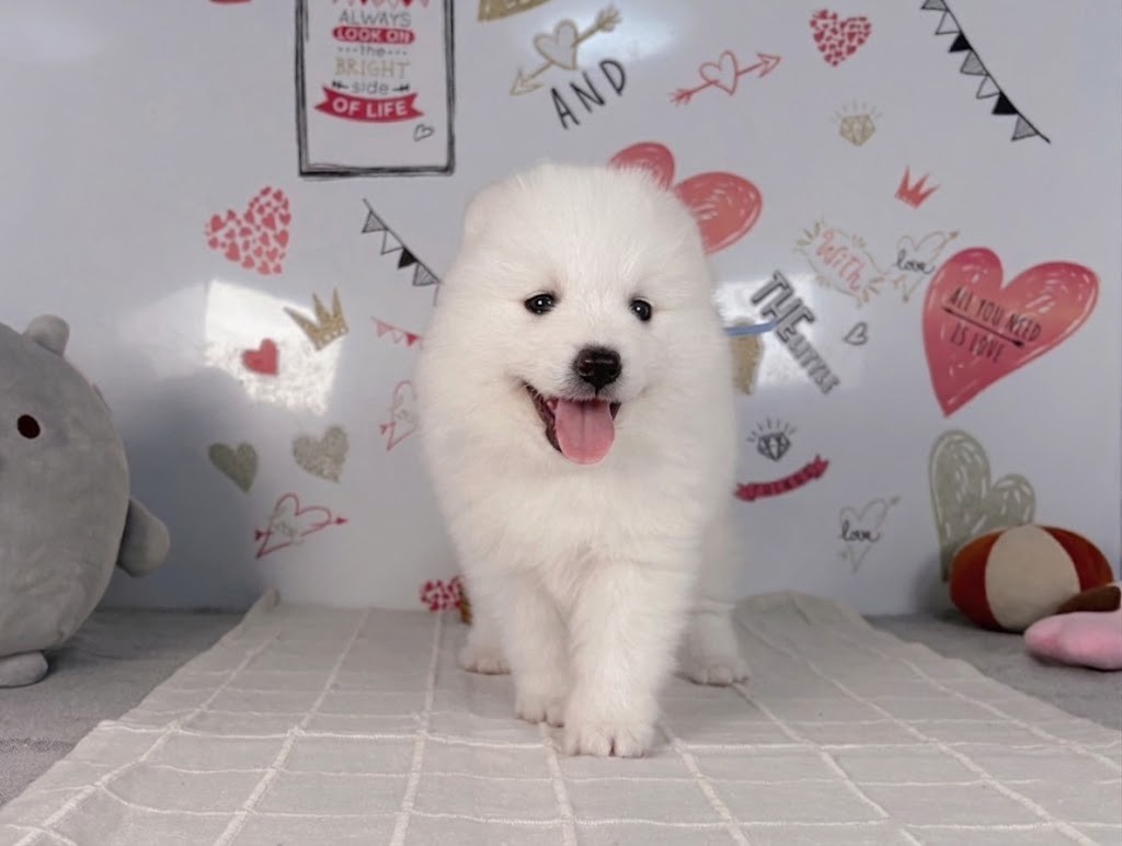 赤ちゃん写真2-1