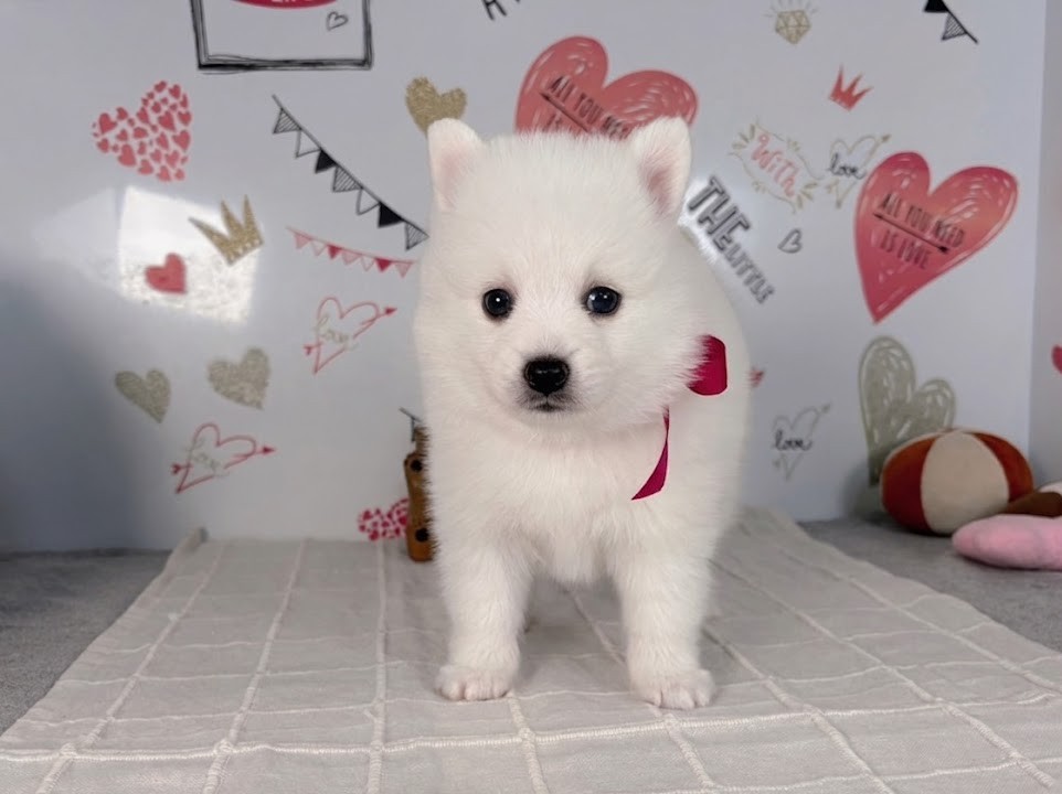 赤ちゃん写真2-1