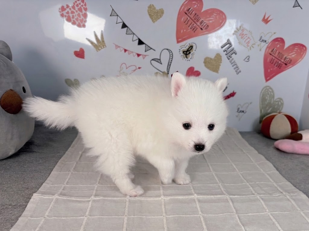 赤ちゃん写真2-2
