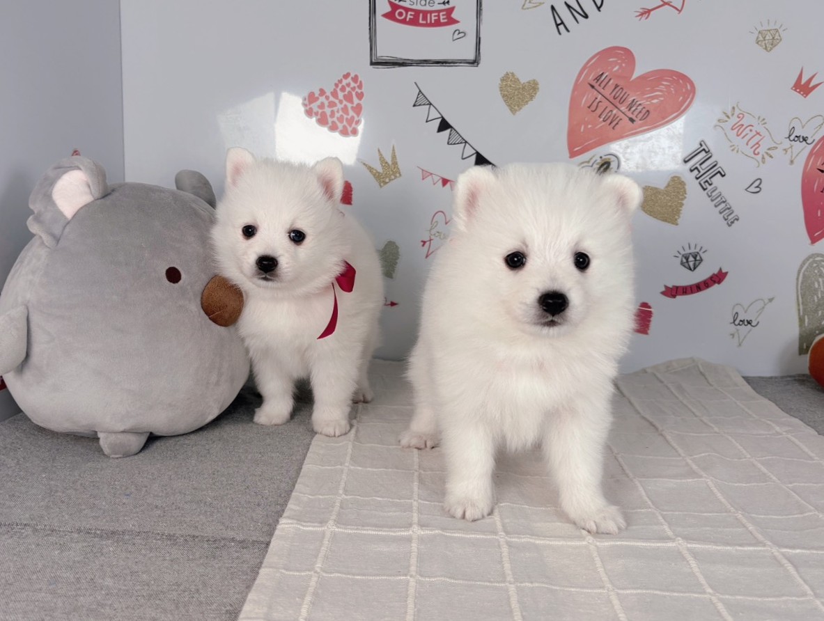 赤ちゃん写真2-3