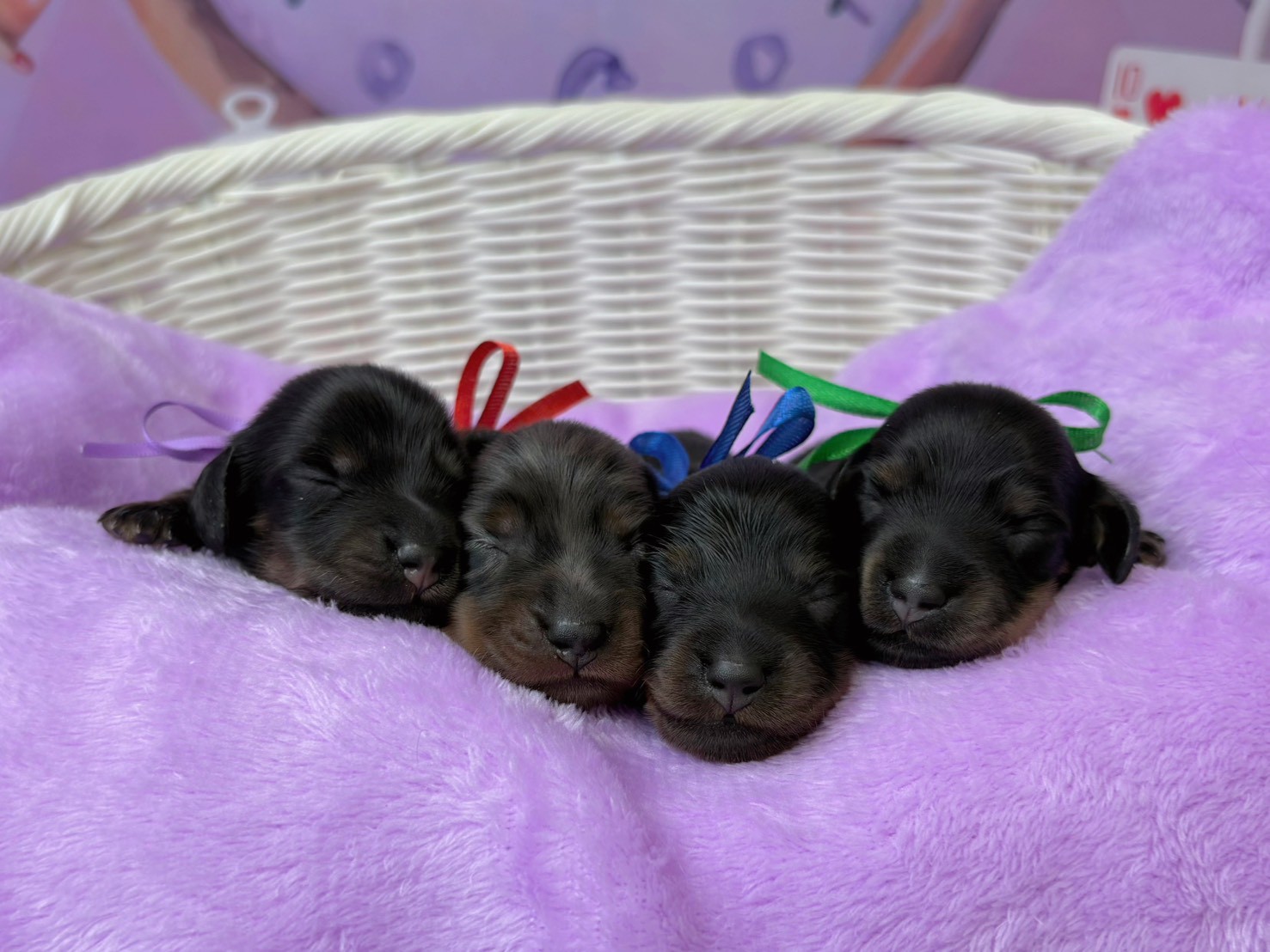 赤ちゃん写真1-3