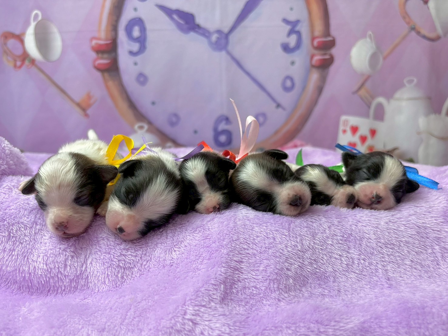 赤ちゃん写真1-3