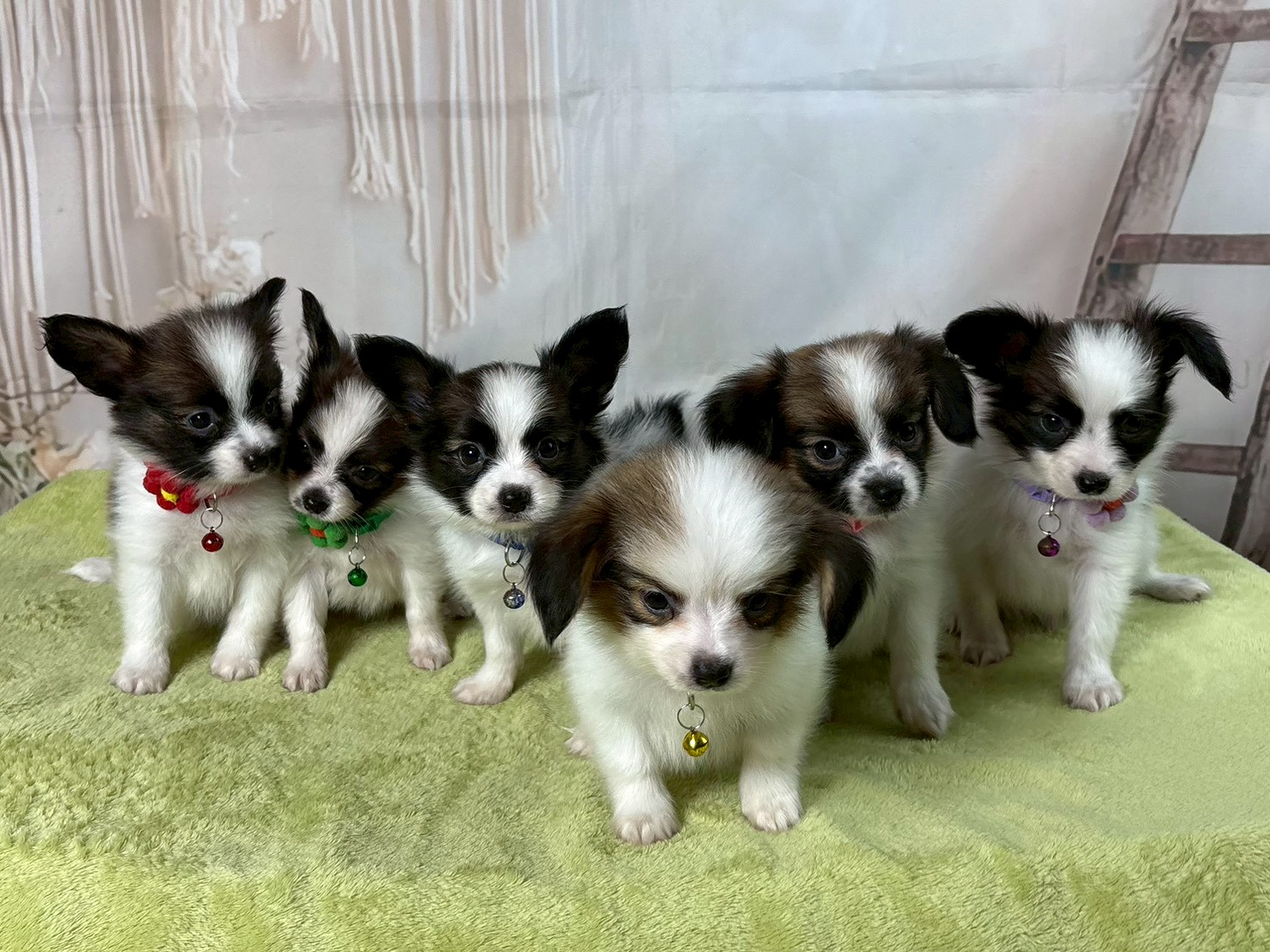 赤ちゃん写真3-3