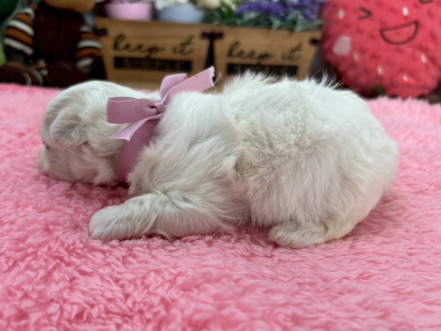 赤ちゃん写真2-2