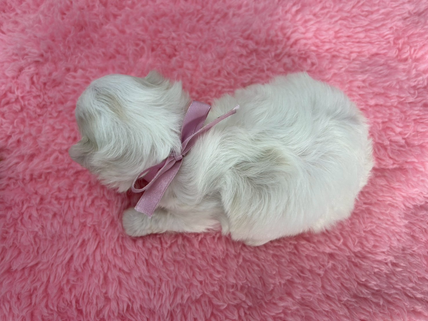 赤ちゃん写真2-3