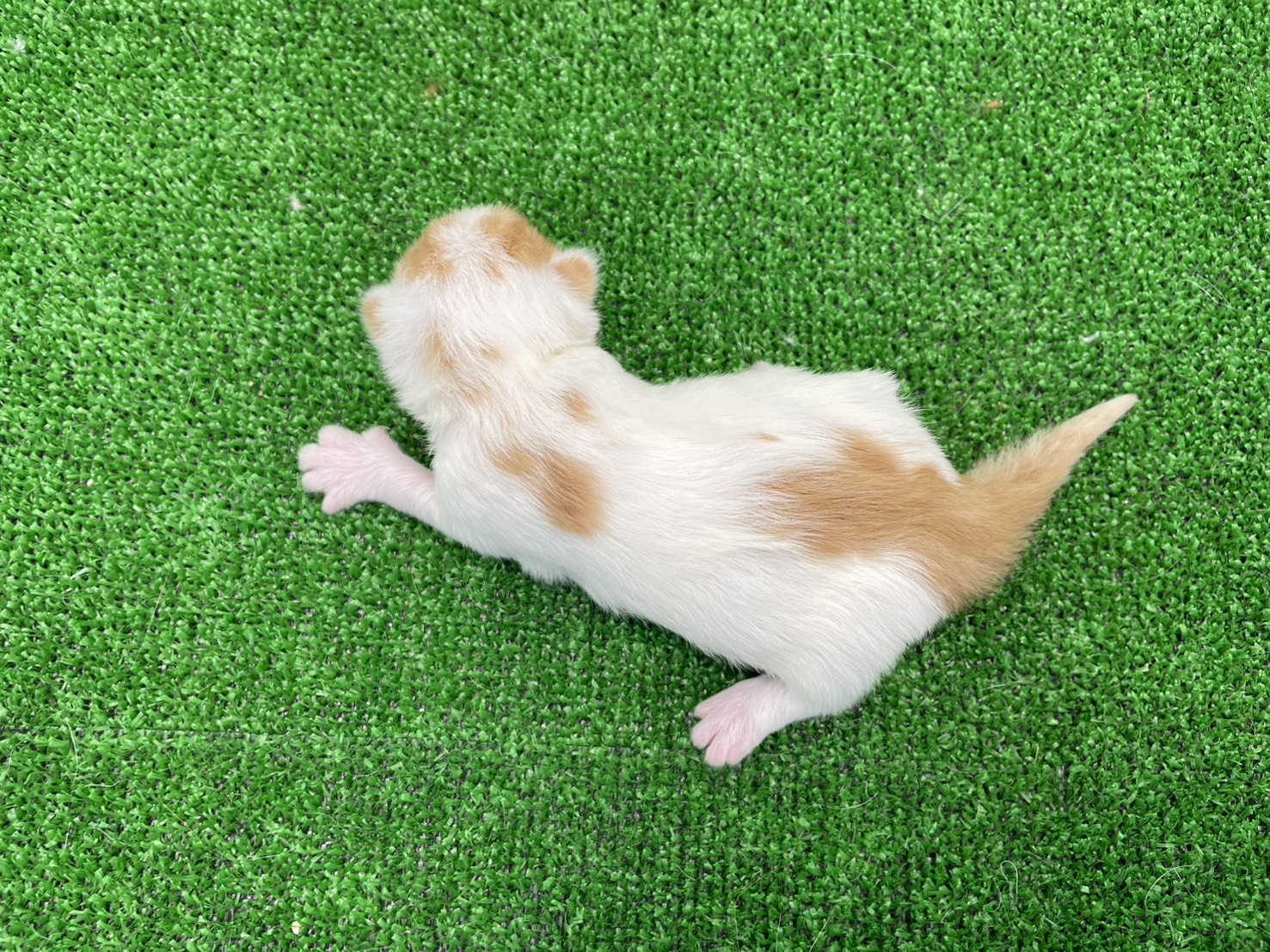 赤ちゃん写真1-3